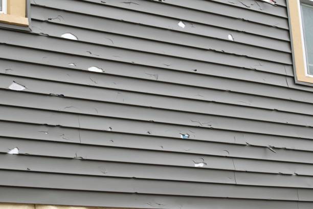 Best Vinyl Siding Installation  in California, MO